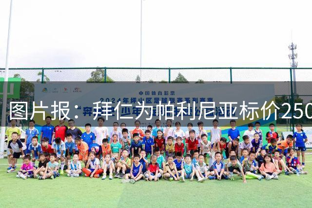 图片报：拜仁为帕利尼亚标价2500万欧，维拉正朝达成协议推进转会