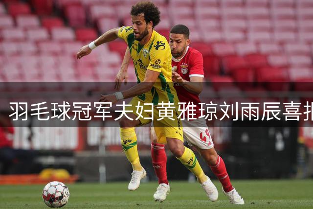 羽毛球冠军夫妇黄雅琼刘雨辰喜报 爱情结晶即将诞生